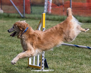 20200819-0803.jpg