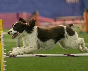 20150321-LEAP-1437.jpg