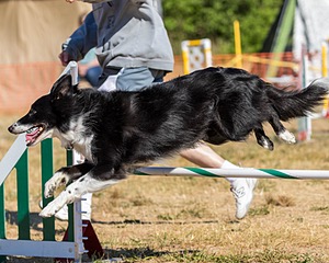 20160619-CCKC-0089.jpg