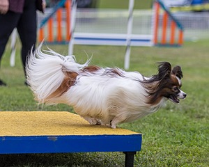 20230916-PVKC-0109.jpg