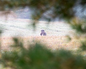 20161008-WCXL-0011.jpg