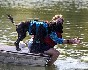 Boaty Bellicose
