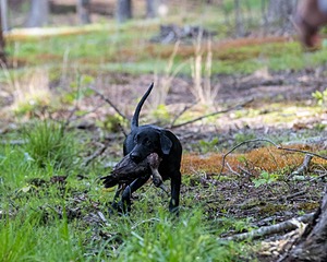 20220604-SHW-0571.jpg