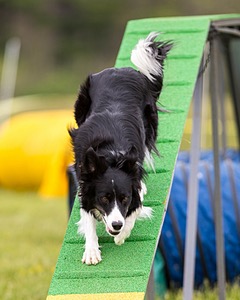 20160515-NEAT-1058.jpg