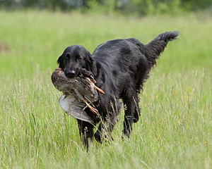 20080531-HRL-0264.jpg