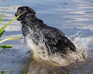 Marney Mines