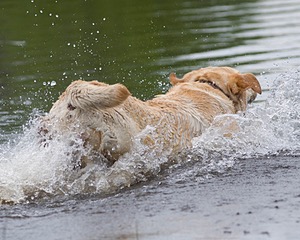 20080601-SRW-0688.jpg