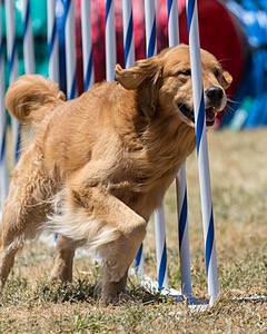20160618-CCKC-1340.jpg