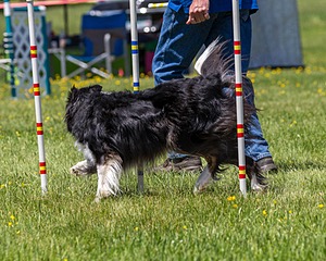 20170520-NEAT-1461.jpg