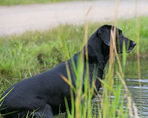 20130713-MHB2-0199.jpg