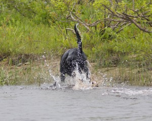 20080531-HRW-0553.jpg