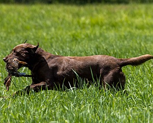 20240720-MH1-0612.jpg