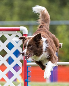 20200819-1750.jpg