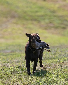 20140809-JHL-0098.jpg