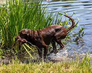 20190804-SHW-0008.jpg