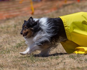 20160619-CCKC-1264.jpg