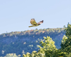 20160925-C-0016.jpg