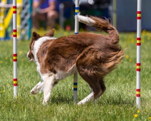 20170520-NEAT-1626.jpg