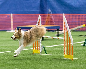 20150322-LEAP-0310.jpg