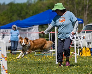 20170520-NEAT-0483.jpg