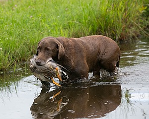 20130713-MHB2-0107.jpg