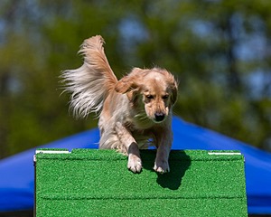 Ollie Erbe