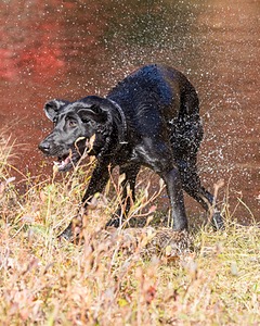 20201011-WCIW-0016.jpg