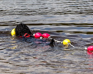 Finne