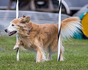 20230917-PVKC-2796.jpg
