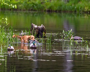 20170604-SEAW-0014.jpg