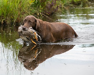 20130713-MHB2-0105.jpg