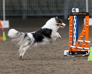 Breeze Thompson