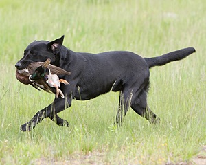 20080531-HRL-0279.jpg