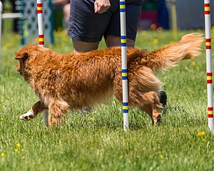 20170520-NEAT-1442.jpg