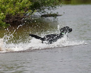 20080601-SRW-0619.jpg