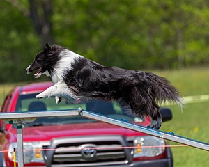 20170520-NEAT-1531.jpg