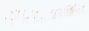 20220211-1318.jpg