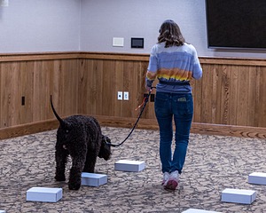 Oscar