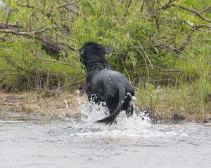 20080531-HRW-0940.jpg