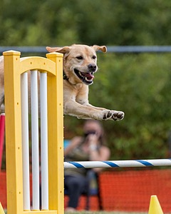 20200819-1137.jpg