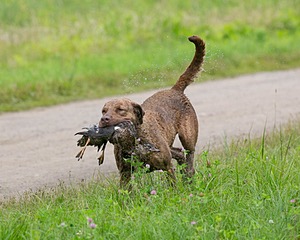 20130713-MHB2-0151.jpg