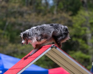 20150613-CCKC-0419.jpg