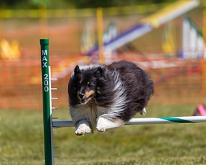 20180617-0573.jpg