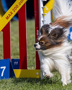 20230916-PVKC-1103.jpg