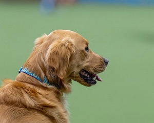 20260221-C-0014.jpg
