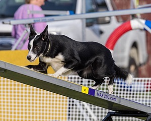 20230916-PVKC-1627.jpg