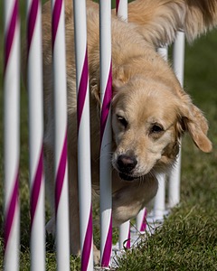 20230916-PVKC-1340.jpg