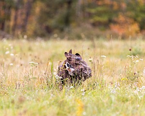 Izzy Fisher