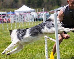 20160514-NEAT-0685.jpg