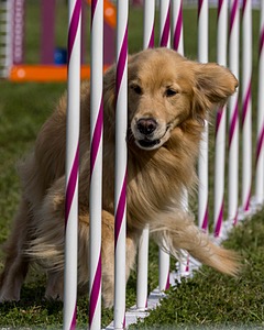20230916-PVKC-1324.jpg